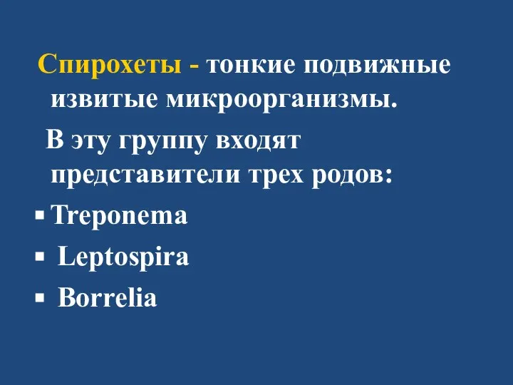 Спирохеты - тонкие подвижные извитые микроорганизмы. В эту группу входят представители трех родов: Treponema Leptospira Borrelia