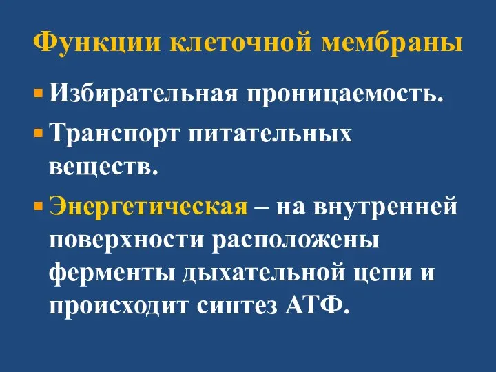 Функции клеточной мембраны Избирательная проницаемость. Транспорт питательных веществ. Энергетическая – на внутренней