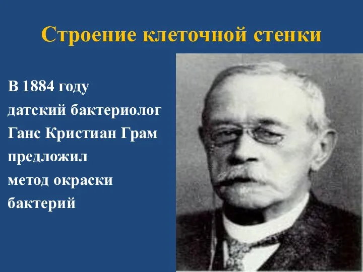 Строение клеточной стенки В 1884 году датский бактериолог Ганс Кристиан Грам предложил метод окраски бактерий