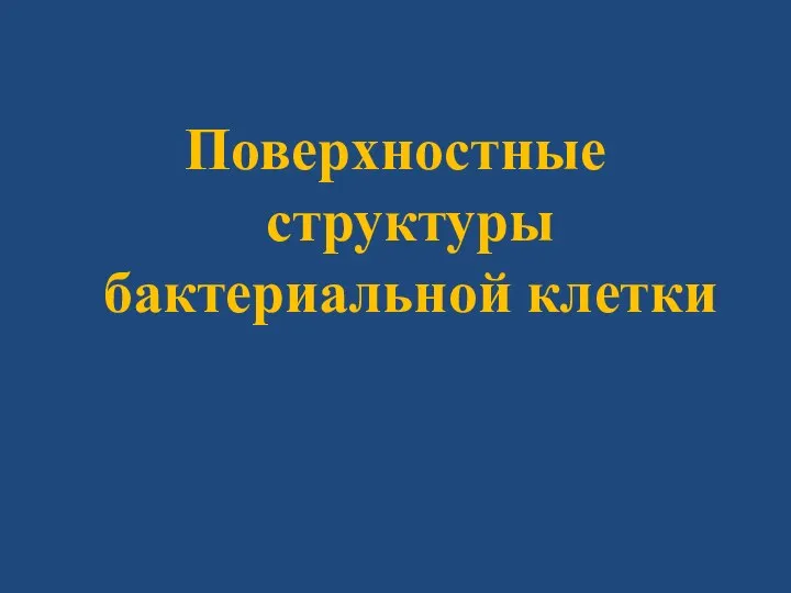 Поверхностные структуры бактериальной клетки