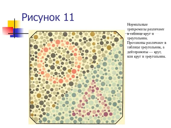 Рисунок 11 Нормальные трихроматы различают в таблице круг и треугольник. Протанопы различают