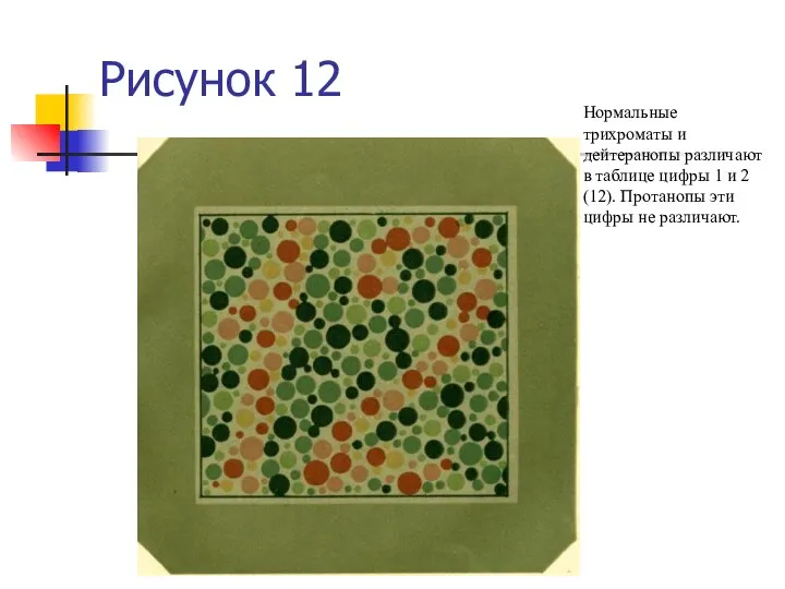 Рисунок 12 Нормальные трихроматы и дейтеранопы различают в таблице цифры 1 и