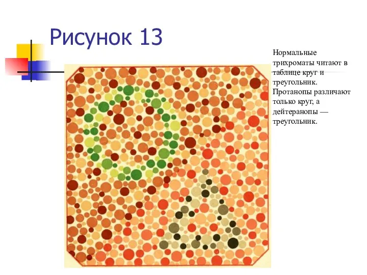 Рисунок 13 Нормальные трихроматы читают в таблице круг и треугольник. Протанопы различают