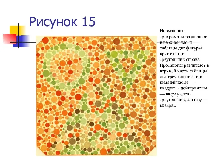 Рисунок 15 Нормальные трихроматы различают в верхней части таблицы две фигуры: круг