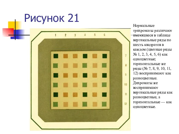 Рисунок 21 Нормальные трихроматы различают имеющиеся в таблице вертикальные ряды по шесть