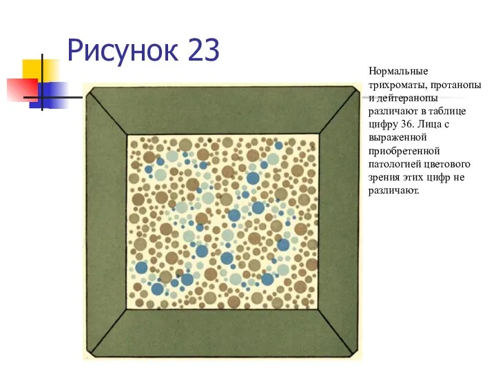 Рисунок 23 Нормальные трихроматы, протанопы и дейтеранопы различают в таблице цифру 36.