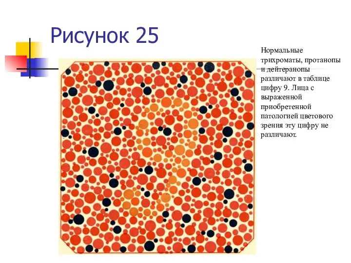 Рисунок 25 Нормальные трихроматы, протанопы и дейтеранопы различают в таблице цифру 9.