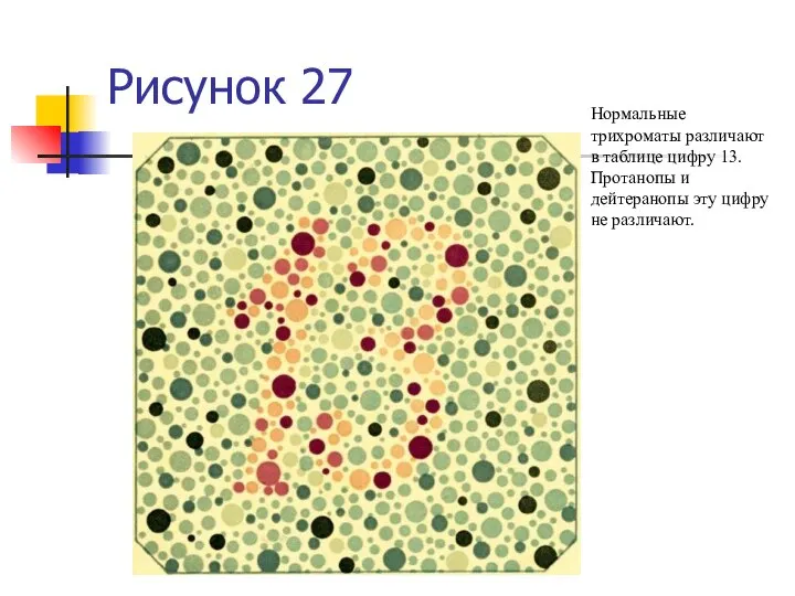 Рисунок 27 Нормальные трихроматы различают в таблице цифру 13. Протанопы и дейтеранопы эту цифру не различают.