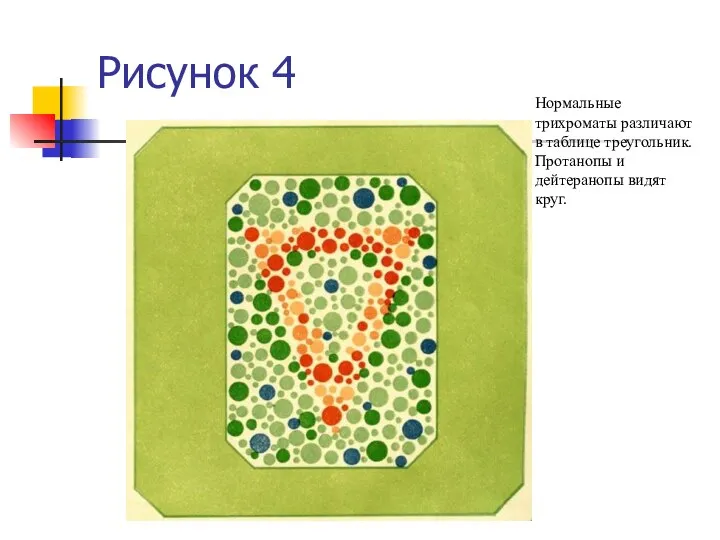 Рисунок 4 Нормальные трихроматы различают в таблице треугольник. Протанопы и дейтеранопы видят круг.