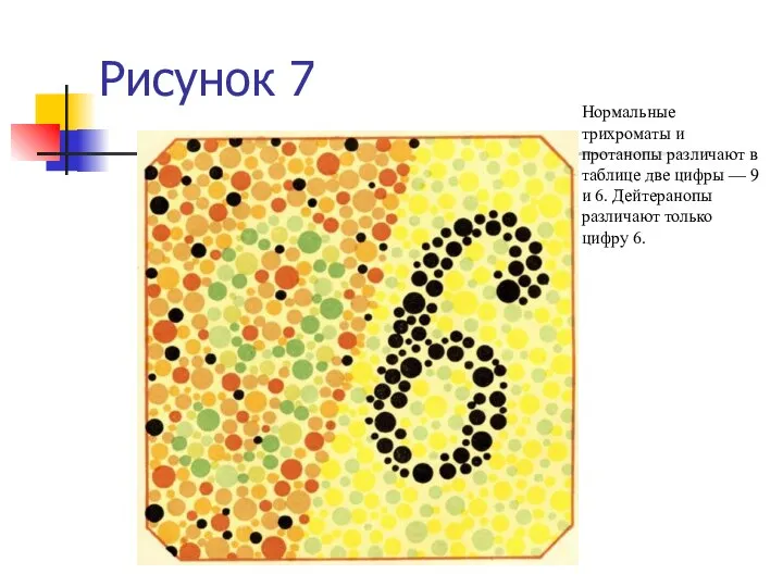 Рисунок 7 Нормальные трихроматы и протанопы различают в таблице две цифры —