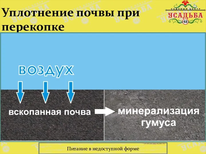 Уплотнение почвы при перекопке Питание в недоступной форме