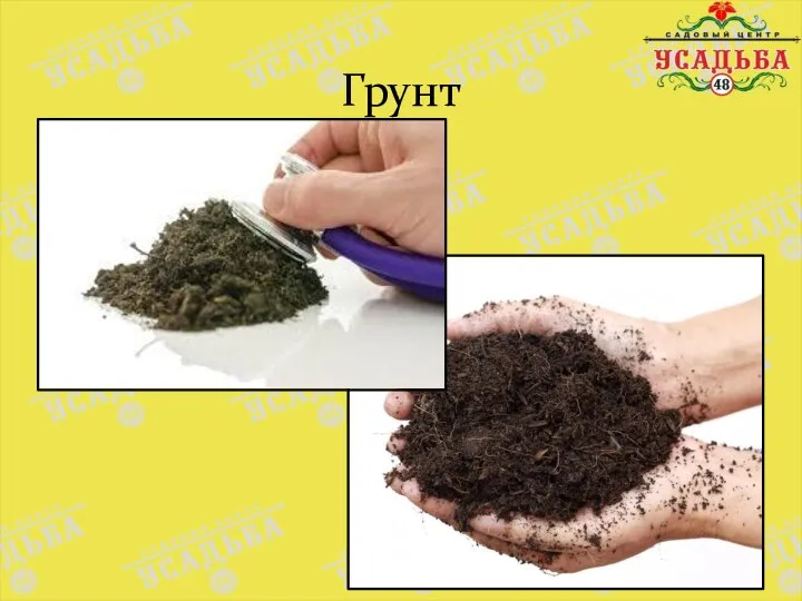 Грунт