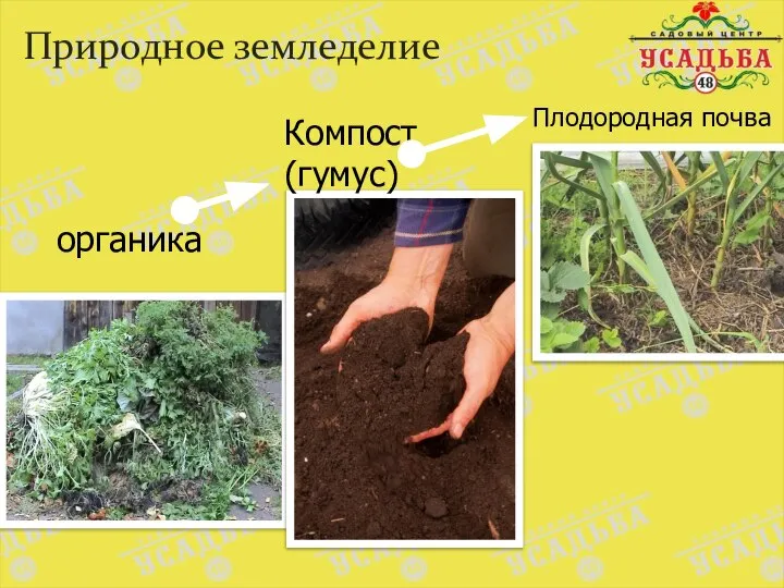 Природное земледелие органика Компост (гумус) Плодородная почва
