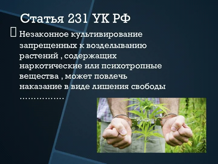 Статья 231 УК РФ Незаконное культивирование запрещенных к возделыванию растений , содержащих