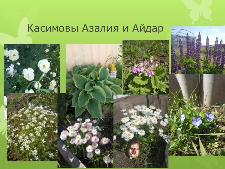 Касимовы Азалия и Айдар