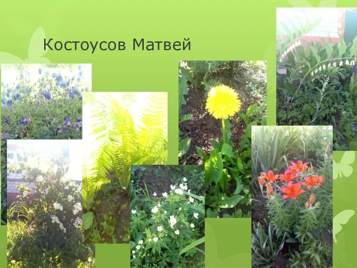 Костоусов Матвей