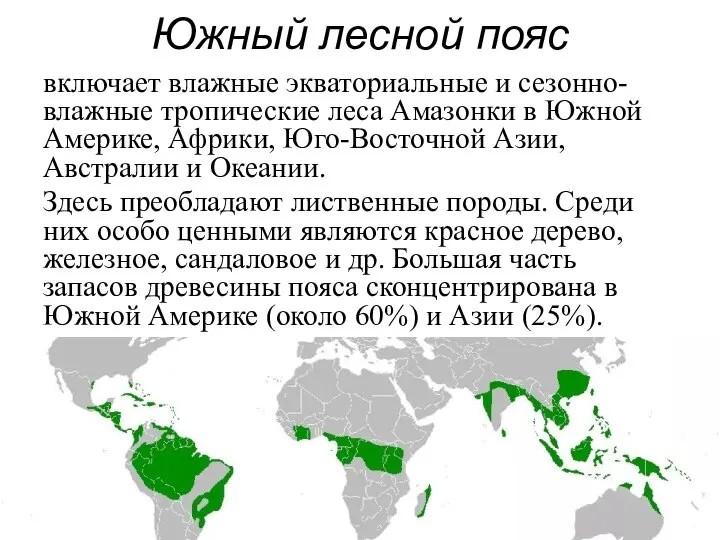 Южный лесной пояс включает влажные экваториальные и сезонно-влажные тропические леса Амазонки в