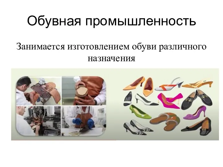 Обувная промышленность Занимается изготовлением обуви различного назначения