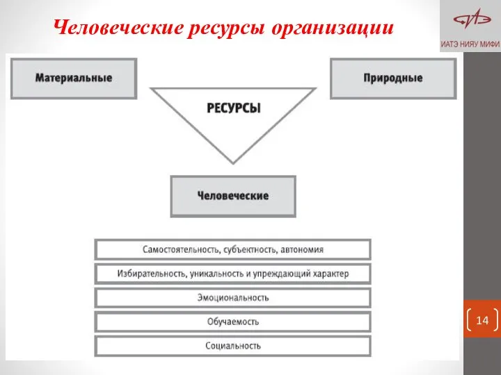 Человеческие ресурсы организации