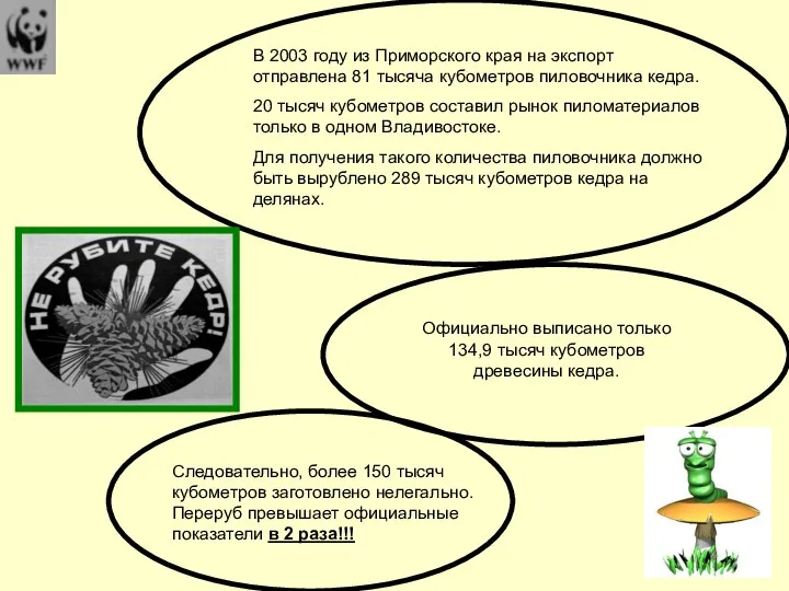 В 2003 году из Приморского края на экспорт отправлена 81 тысяча кубометров