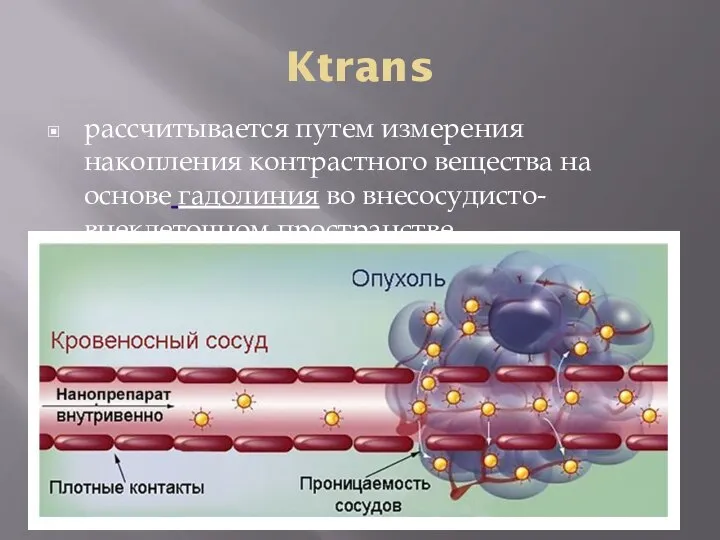 Ktrans рассчитывается путем измерения накопления контрастного вещества на основе гадолиния во внесосудисто-внеклеточном пространстве.