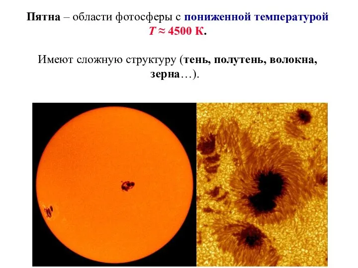 Пятна – области фотосферы с пониженной температурой Т ≈ 4500 К. Имеют