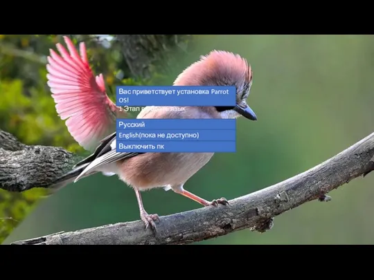 Вас приветствует установка Parrot OS! 1 Этап выбрать язык Русский English(пока не доступно) Выключить пк