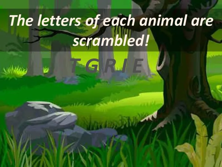 The letters of each animal are scrambled! T G R I E