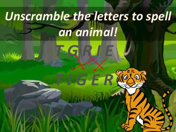 Unscramble the letters to spell an animal! T G R I E