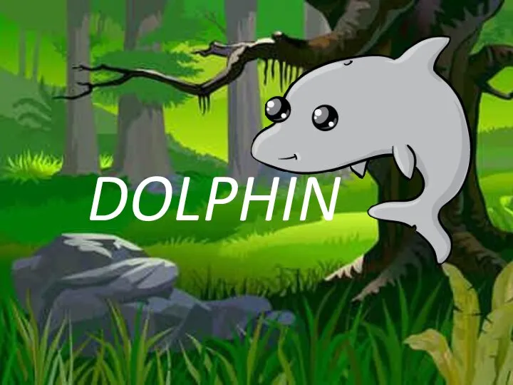 DOLPHIN