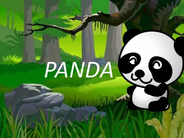 PANDA