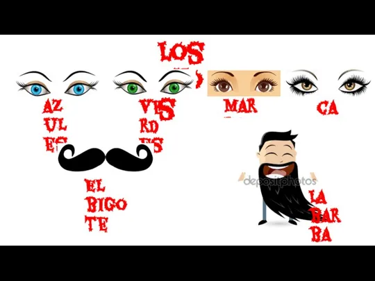 Los ojos azules verdes marrones cafes El bigote La barba