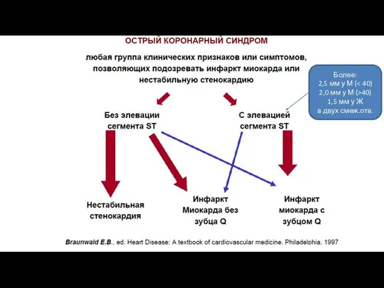 Более: 2,5 мм у М ( 2,0 мм у М (>40) 1,5