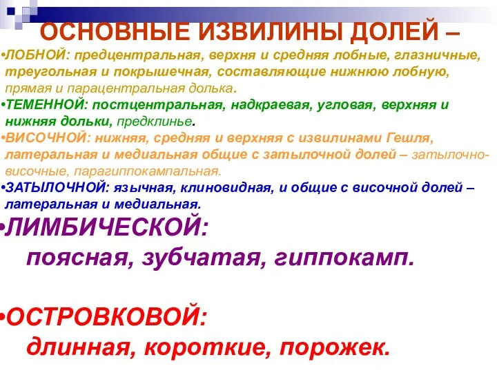 ОСНОВНЫЕ ИЗВИЛИНЫ ДОЛЕЙ – ЛОБНОЙ: предцентральная, верхня и средняя лобные, глазничные, треугольная