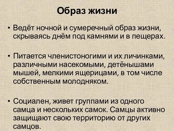 Образ жизни Ведёт ночной и сумеречный образ жизни, скрываясь днём под камнями