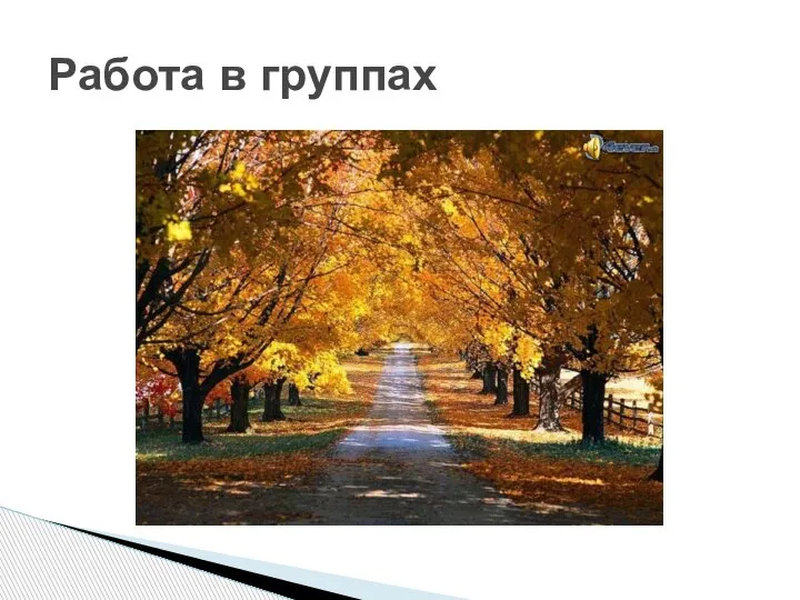 Работа в группах