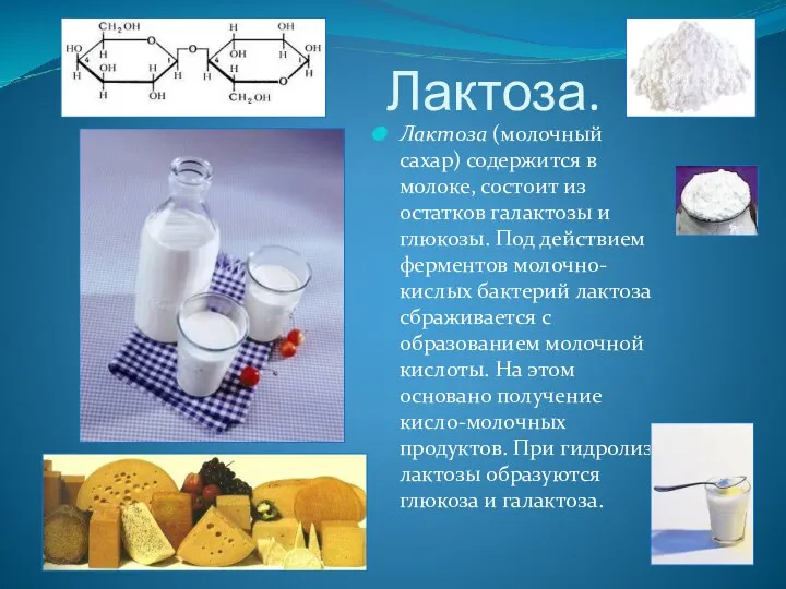 Лактоза. Лактоза (молочный сахар) содержится в молоке, состоит из остатков галактозы и