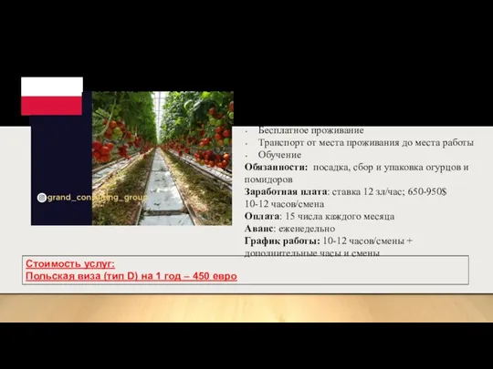 Работники в теплицы (мужчины, женщины, семейные пары) Место работы: Лодзь, Леонув Работодатель