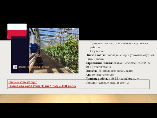 Работа в теплицах Место работы: окрестности Катовице Работодатель предоставляет: Бесплатное жилье Транспорт