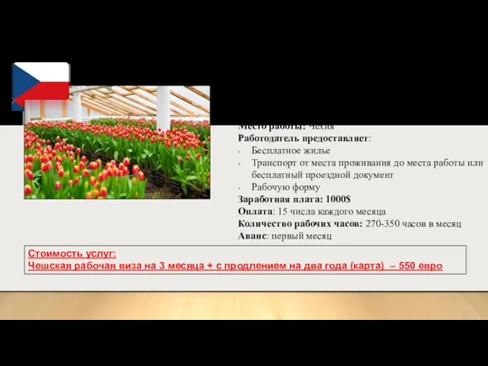 Работницы на цветочные фермы Место работы: Чехия Работодатель предоставляет: Бесплатное жилье Транспорт