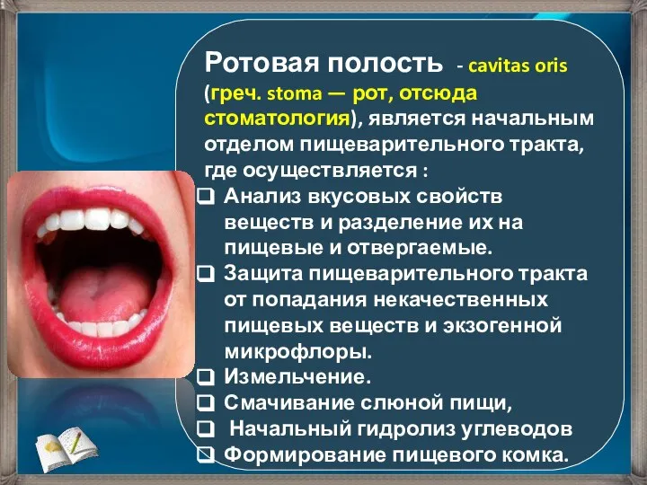 Ротовая полость - cavitas oris (греч. stoma — рот, отсюда стоматология), является