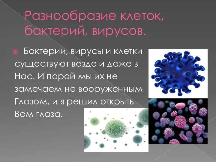 Разнообразие клеток, бактерий, вирусов. Бактерии, вирусы и клетки существуют везде и даже