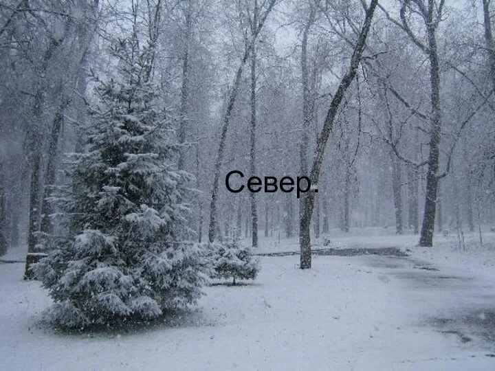 Север.