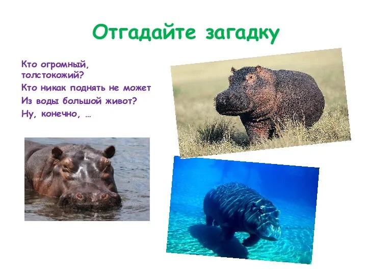 Отгадайте загадку Кто огромный, толстокожий? Кто никак поднять не может Из воды