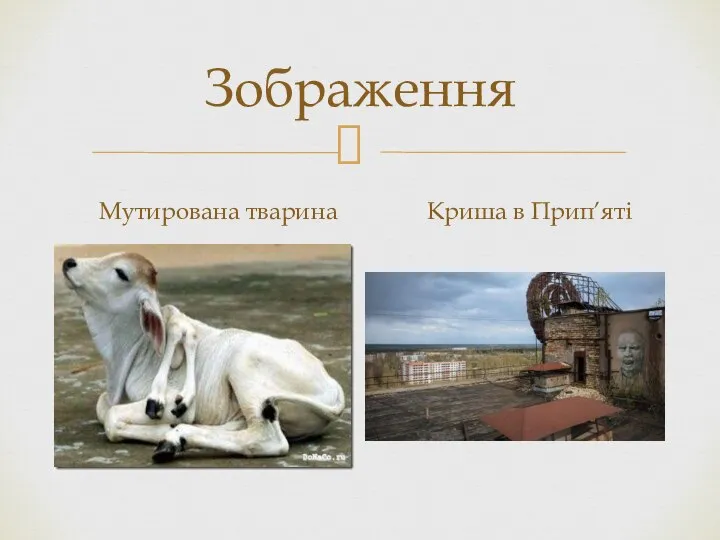 Зображення Мутирована тварина Криша в Прип’яті