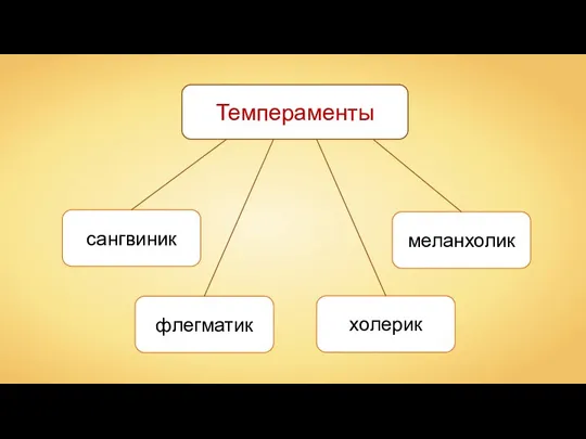 Темпераменты