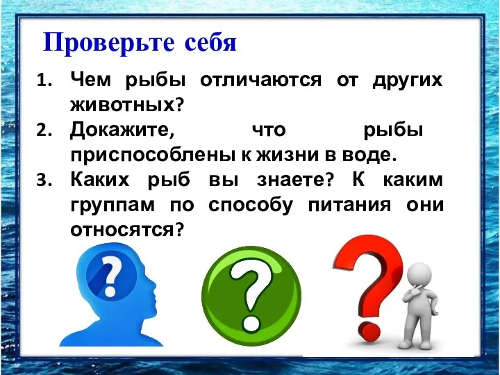 Проверьте себя Чем рыбы отличаются от других животных? Докажите, что рыбы приспособлены