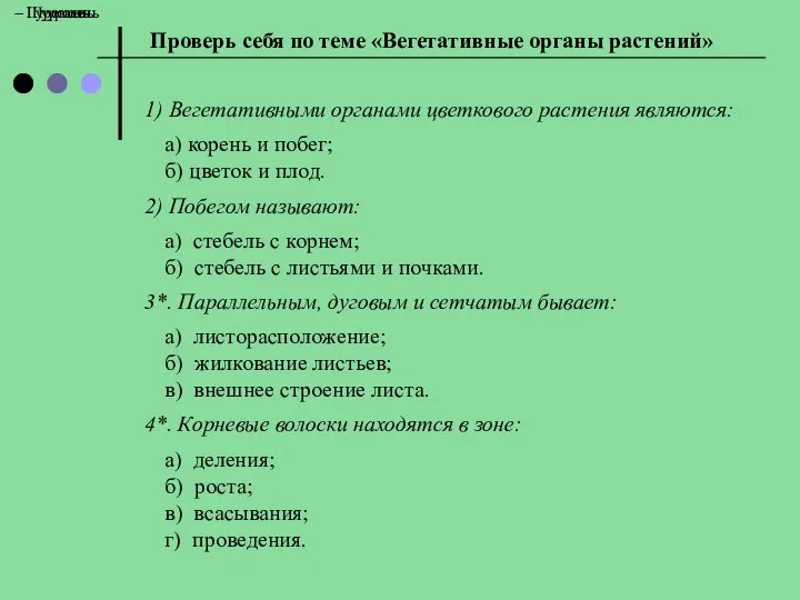 – I уровень – II уровень – III уровень