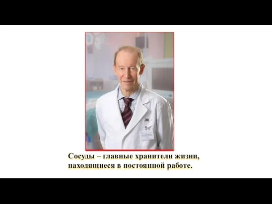 Сосуды – главные хранители жизни, находящиеся в постоянной работе.