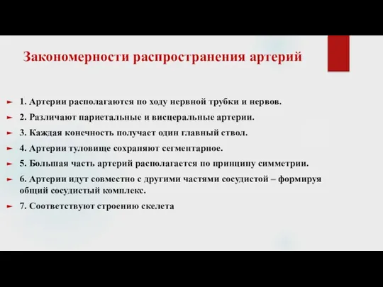 Закономерности распространения артерий 1. Артерии располагаются по ходу нервной трубки и нервов.